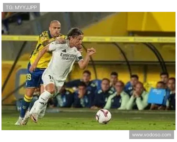 维尼修斯女友晒现场观战皇马称我家猫咪驰骋赛场并赢下胜利联赛